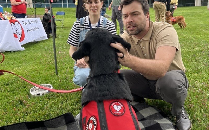 Employees step away from their desks and enjoy Pet Therapy!