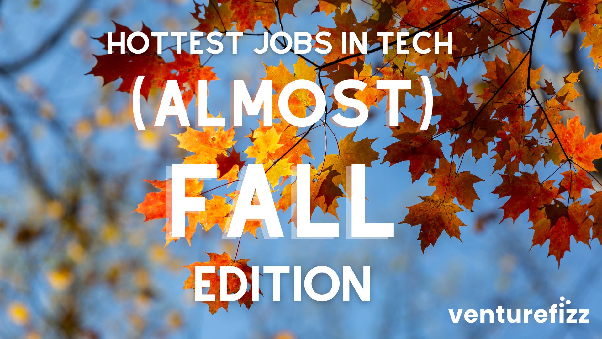 Hottest Boston Tech Jobs of September 2026