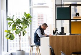 Man in a denim vest sits at a white desk in a bright office, focused on work, with a large potted plant nearby.